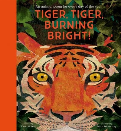 Tiger Tiger Burning Bright  An Animal Poem For Every  Day of