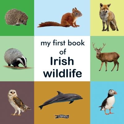 My First Book of Irish Wildlife Board Book