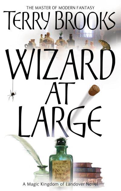 Wizard At Large  P/B Book Three