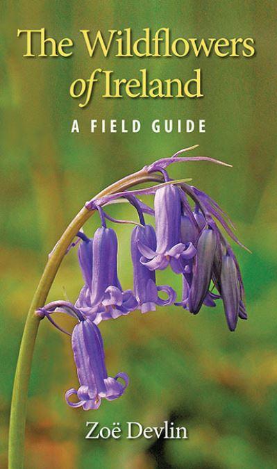 Wildflowers of Ireland  A Field Guide