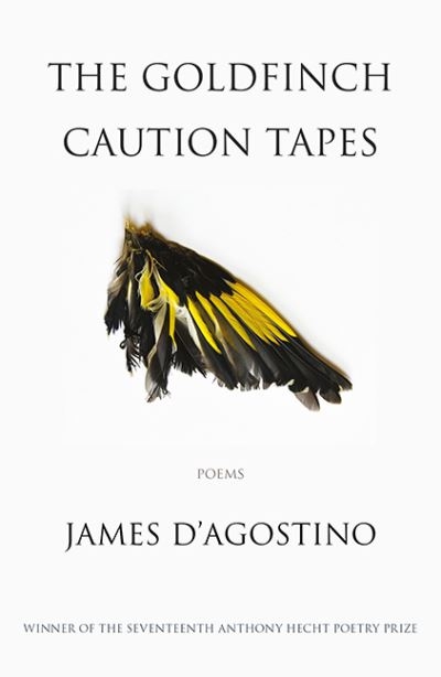 The Goldfinch Caution Tapes