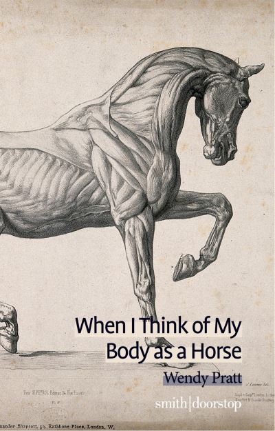 When I Think of My Body As a Horse