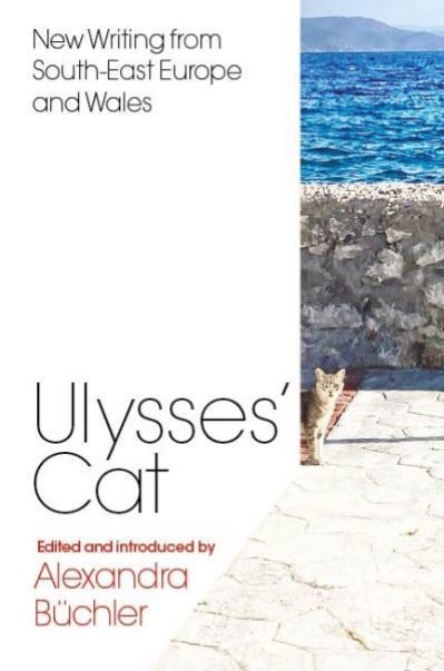 Ulysses's Cat