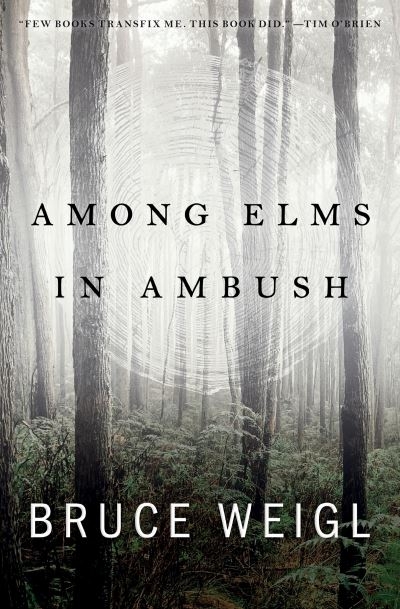 Among Elms, in Ambush