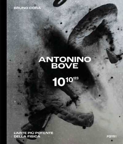 Antonino Bove 1010123